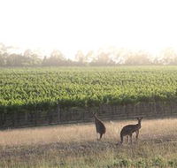 Small Forest Wine - Accommodation Brunswick Heads