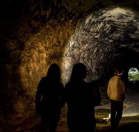 Newnes Plateau - Accommodation Brunswick Heads