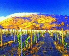 Surveyors Hill Winery - Accommodation Brunswick Heads 0