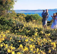 Joseph Banks Conservation Park - Accommodation Brunswick Heads