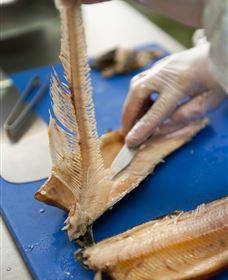 Arc-en-Ciel Trout Farm - Accommodation Brunswick Heads 2