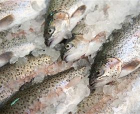 Arc-en-Ciel Trout Farm - Accommodation Brunswick Heads 3