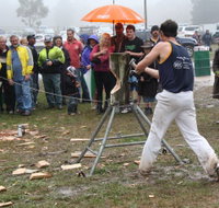 Lockyers Road Walking Track - Accommodation Brunswick Heads