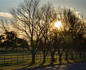 Inland Waters Holiday Parks Lake Glenbawn - Accommodation Brunswick Heads 4