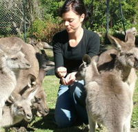 Canons Shuttles Day Tours - Accommodation Brunswick Heads