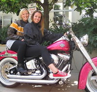 Wild Ride Harley and Motorcycle Tours - Accommodation Brunswick Heads