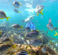 EcoTreasures - Accommodation Brunswick Heads