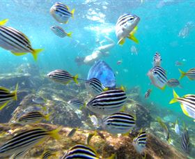 EcoTreasures - Accommodation Brunswick Heads 0