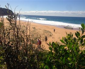 EcoTreasures - Accommodation Brunswick Heads 2