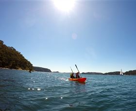 EcoTreasures - Accommodation Brunswick Heads 4