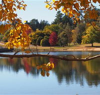 Ross Garden Tours - Accommodation Brunswick Heads