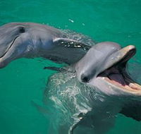 Colourful Trips - Accommodation Brunswick Heads