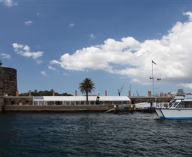 H2O Maxi Taxis - Accommodation Brunswick Heads 0