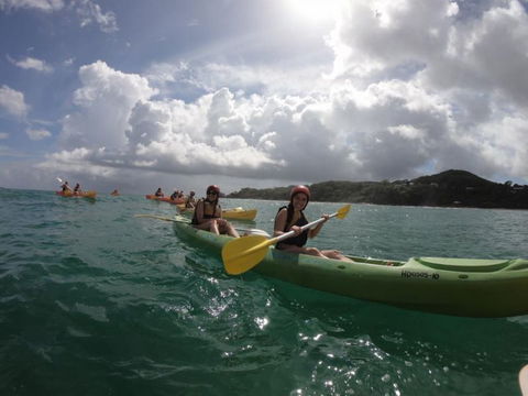 Cape Byron Kayaks - Accommodation Brunswick Heads 3