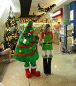  Accommodation Brunswick Heads