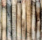 Kerrie Lowe Gallery - Accommodation Brunswick Heads