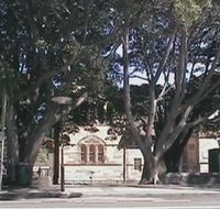 Rozelle Weekend Markets - Accommodation Brunswick Heads