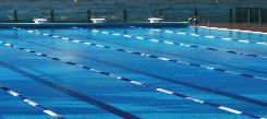 Andrew Boy Charlton Pool - Accommodation Brunswick Heads 1