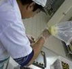 Fremantle Chocolate Pty ltd - Accommodation Brunswick Heads