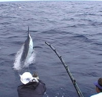 Amokura Charters - Accommodation Brunswick Heads
