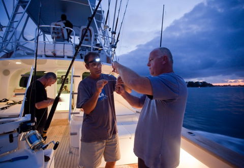 Amokura Charters - Accommodation Brunswick Heads 1