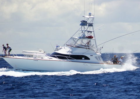 Amokura Charters - Accommodation Brunswick Heads 2