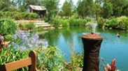 Gone Walkabout Safaris - Accommodation Brunswick Heads 0