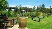 Gone Walkabout Safaris - Accommodation Brunswick Heads 2