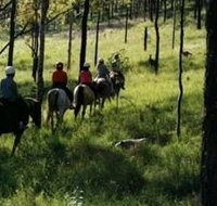 Hunter Valley Horse Riding and Adventures - Accommodation Brunswick Heads