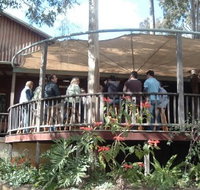Hunter Vineyard Tours - Accommodation Brunswick Heads