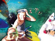 Imagine Cruises - Accommodation Brunswick Heads 3