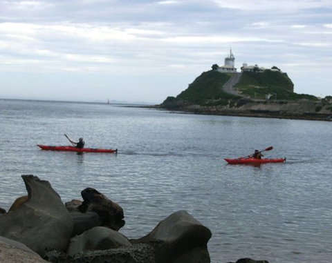 Newcastle Kayak Tours - Accommodation Brunswick Heads 0