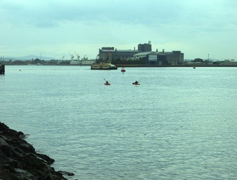 Newcastle Kayak Tours - Accommodation Brunswick Heads 5