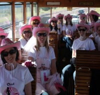 Newcastles Famous Tram - Accommodation Brunswick Heads