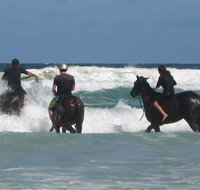 Pegasus Park Equestrian Centre - Accommodation Brunswick Heads