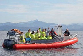 Byron Bay Whale Watching - Accommodation Brunswick Heads 2