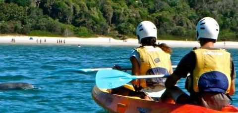 Go Sea Kayak - Accommodation Brunswick Heads 2