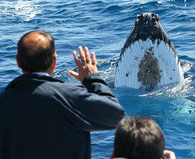 Bass & Flinders Cruises - Accommodation Brunswick Heads 3