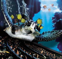 IMAX Theatre Sydney - Accommodation Brunswick Heads