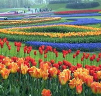 Botanica World Discoveries - Accommodation Brunswick Heads