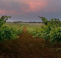 Wine Class - Accommodation Brunswick Heads