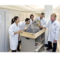 Behind the Scenes Tours at Australian Museum - Accommodation Brunswick Heads