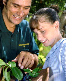 Aboriginal Heritage Tour - Accommodation Brunswick Heads 1