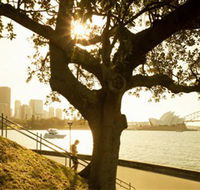 Royal Botanic Gardens and the Domain - Accommodation Brunswick Heads