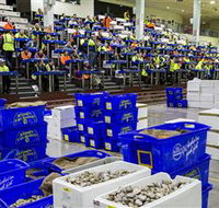 Sydney Fish Market - Accommodation Brunswick Heads