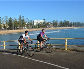 Global Cycle Rides - Accommodation Brunswick Heads 1
