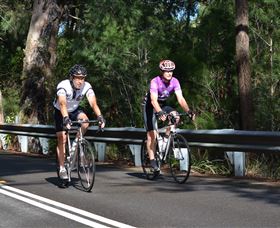Global Cycle Rides - Accommodation Brunswick Heads 2