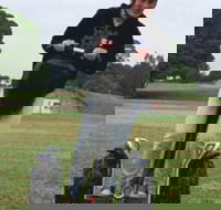 Segway Tours Australia - Accommodation Brunswick Heads