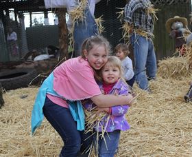 Golden Ridge Animal Farm - Accommodation Brunswick Heads 2