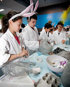 Australian Nuclear Science And Technology Organisation - Accommodation Brunswick Heads 1